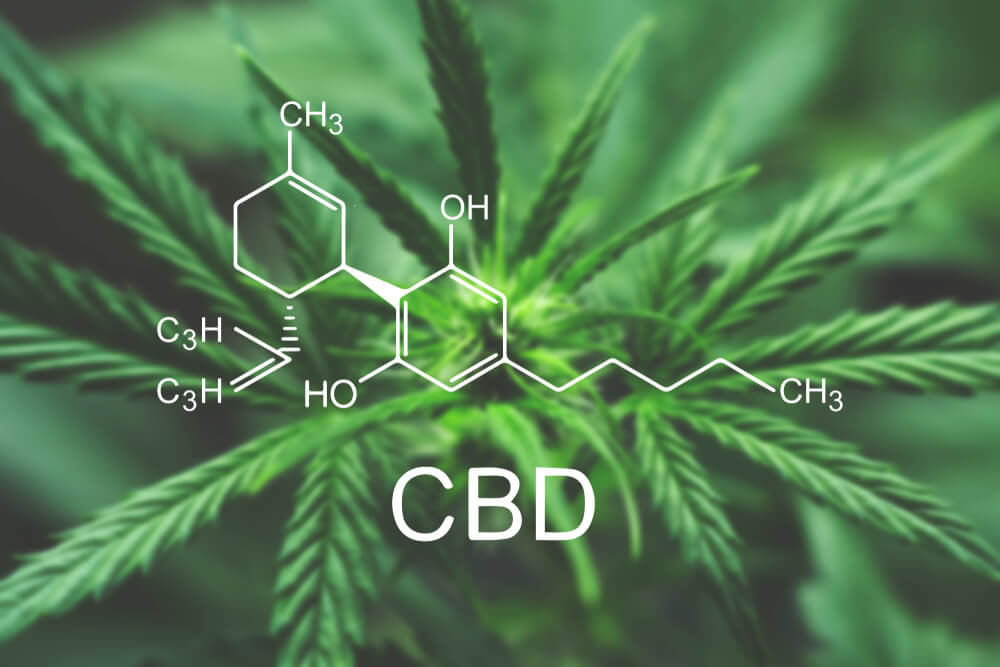 Beginners Guide To Cbd Oil 1 Shutterstock 1048262770 1 1 - beginners guide to cbd oil