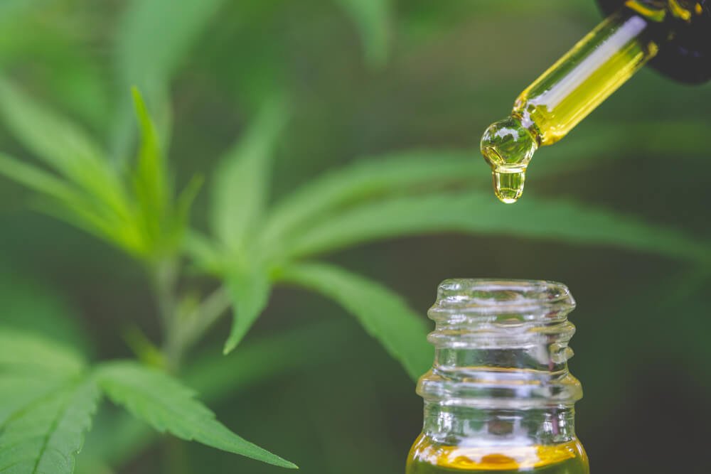 Beginners Guide To Cbd Oil 2 Shutterstock 1472384519 1 - beginners guide to cbd oil