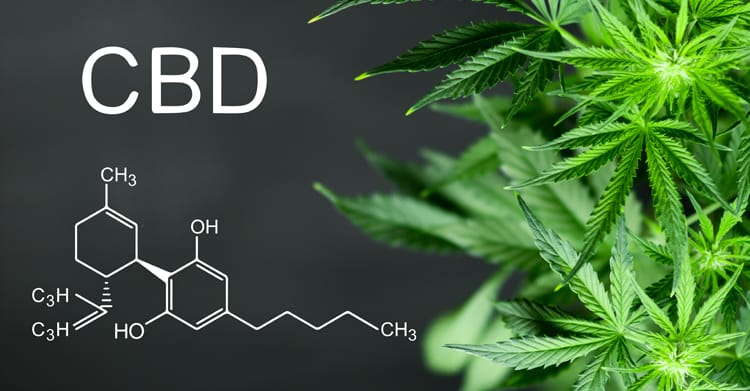 The Top 10 Most Asked Cbd Questions In 2021 1 Cbd questions answered